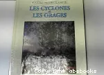 Les Cyclones et les orages