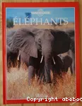 Eléphants