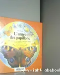 L'année des papillons : une année en compagnie des papillons de jour et des papillons de nuit