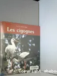 Les cigognes