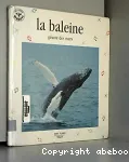 La Baleine : géante des mers