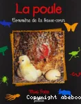 La poule : commère de la basse-cour