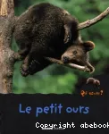 Le petit ours