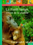 La forêt vierge, trésor de la planète