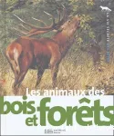 Les animaux des bois et forêts