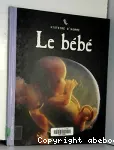 Le bébé : histoire d'homme