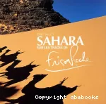 Sahara, sur les traces de Frison-Roche