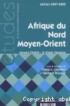 Afrique du Nord, Moyen-Orient : Moyen-Orient, la triple impasse