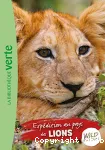 Expédition au pays des lions