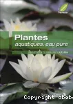 Plantes aquatiques, eau pure