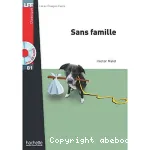 Sans famille : niveau A2-B1