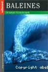 Baleines : un enjeu écologique