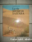 La vie sauvage au sahara
