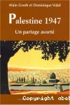 Palestine 1947 : un partage avorté