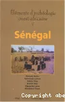 Eléments d'archéologie ouest-africaine. 5, Sénégal